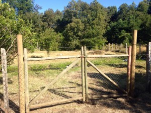 nativos puc&oacute;n Anuncios gratis en Puc&oacute;n |   oportunidad terreno de 580 m2 en puc&oacute;n a minutos del centro, Oportunidad &uacute;nica terreno de 580 m2 en puc&oacute;n central.