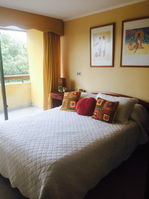 nativos puc&oacute;n Anuncios gratis en Puc&oacute;n |  Hermoso departamento amoblado en el centro de puc&oacute;n, Hermoso departamento amoblado en el centro de puc&oacute;n cerca del casino