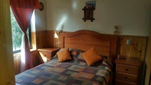 NATIVOS PUC&Otilde;N Anuncios gratis en Puc&oacute;n |  Hermoso departamento en puc&oacute;n a pasos del centro, Hermoso departamento en el centro de puc&oacute;n