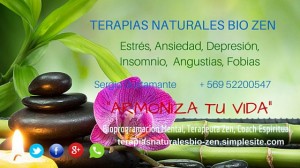 Sergio Arturo Bustamante Madariaga Anuncios gratis en Santiago |  Terapias naturales de sanacion holisticas bio zen, Liberate de tus problemas, terapias  de sanacion