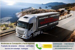 Mudanzas Pedro Vera Venegas Anuncios gratis en San Pedro de la Paz |  Mudanzas entre regiones de arica a punta arenas, Todos los servicios incluyen carga y descarga
