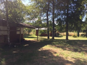 nativos puc&oacute;n Anuncios gratis en  Parcela en molco con hermosa caba&Ntilde;a de 50 m2, Parcela con hermosa caba&Ntilde;a de 50 m2 cerca de puc&Oacute;n