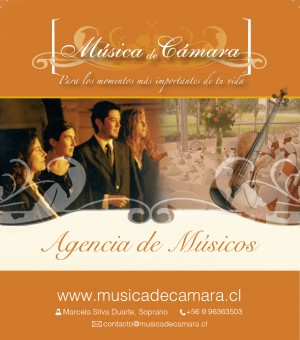 Horacio Silva Duarte Anuncios gratis en Las Condes |  M&uacute;sicos en vivo para repertorio internacional en eventos, M&uacute;sicos en vivo para eventos de gala