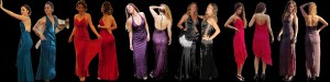 Yocelyn Allel  Anuncios gratis en Santiago |  Arriendo vestidos de fiesta y accesorios para arriendo 