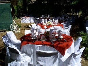 ANFER EVENTOS Anuncios gratis en Concepci&oacute;n |  MATRIMONIOS, COCKTAIL, ASADOS CAMPESTRES, Y MUCHO MAS..., ORGANIZA TU EVENTO CON NOSOTROS!!!