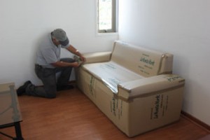 Amalio Erranz Anuncios gratis en Santiago |  Mudanzas econ&oacute;micas dentro y fuera de santiago, Mudanzas, embalaje y bodegaje. transportes en general