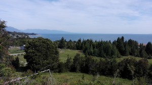 claudia veronica telles vivar Anuncios gratis en Puerto Montt |  Quieres vivir a 15 minutos de puerto montt por carretera austral?, Loteo de sitios con factibilidad de agua y luz