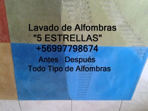 luis Anuncios gratis en Villa Alemana |  Lavado alfombras ,retiro a domicilio 997798674 viña concon valparaiso , Lavandería lavado de plumones lavado de cobertores, lavado de alfombra