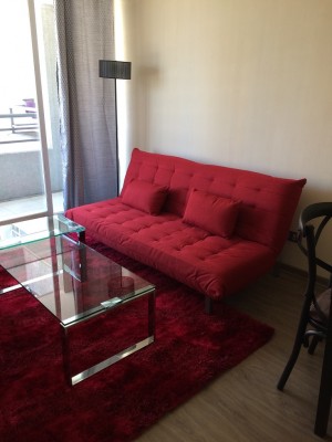 Rodrigo Labra Anuncios gratis en Santiago |  Arriendo por d&iacute;as departamento amoblado metro santa lucia, Arriendo por dias, departamento amoblado, 02 dormitorios, 01 ba&ntilde;o