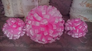 Angeles Romero  Anuncios gratis en &Ntilde;u&ntilde;oa |  Rosetones decorativos para autos novios y automotoras , Rosetones para autos 