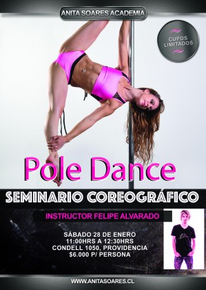 ANITA SOARES ACADEMIA DE BAILE Anuncios gratis en Santiago |  Clases de baile danza fitness en santiago, Clases de pole dance zumba salsa bachata samba dancehall