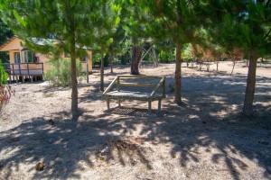 marcia lazzarini Anuncios gratis en Algarrobo |  Caba&ntilde;as equipadas, naturaleza, tranquilidad y seguridad, c.de tenis...,  la tranquilidad de algarrobo en nuestras caba&ntilde;as