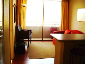 MaElisa Anuncios gratis en Santiago |  ApartHotel en Santiago de Chile.  Departamento nuevo 2 ambientes, , Excelente ubicaci&oacute;n, central, Plaza Italia. Por d&iacute;as, semanas o  meses. 