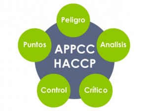 ANY ARMIJO VIDAL Anuncios gratis en Vi&ntilde;a del Mar |  Servicio de asesoria haccp empresa de alimentos, Servicio de asesoria haccp empresa de alimentos