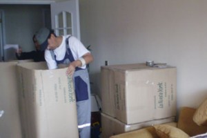 Amalio Erranz Anuncios gratis en Santiago |  Mudanzas para ejecutivos dentro y fuera de santiago, Servicio de mudanzas  de casas, departamentos y oficinas.