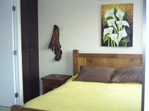  Anuncios gratis en Santiago |  ARRIENDO DEPTOS AMOBLADOS.(dia/s,semanas). STGO.CENTRO, VER FOTOS EN P&Aacute;GINA WEB.