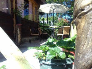 bernardo  diaz Anuncios gratis en  Arriendo  caba&ntilde;as  en  co&ntilde;aripe, Frente  al  lago