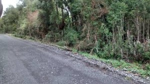 Fernando Anuncios gratis en  Parcela de 120.000.000 m� planas en la patagonia. $ 90.000.000  conver, Parcela en la patagonia  de 12 hect&Aacute;reas planas en la comuna de chait&Eacute;