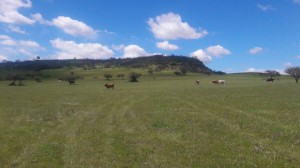 Mireya Garc&iacute;a  Anuncios gratis en  Venta de parcelas en litueche, sexta region , Litueche sexta region, de ohiggins