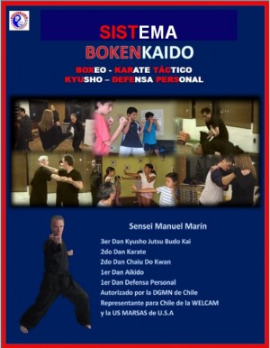 Manuel Mar&iacute;n Anuncios gratis en Providencia |  Boxeo, karate t&aacute;ctico, aikido y defensa personal todo por un mismo pre, Curso de defensa personal t&aacute;ctica para todos