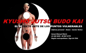 Manuel Mar&iacute;n Anuncios gratis en Providencia |  Kyusho jutsu el secreto de las artes marciales, Kyusho jutsu el secreto de las artes marciales