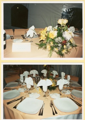 EVENTOS SIGLO XXI Anuncios gratis en Maip&uacute; |  banqueter&igrave;a, c&ograve;ctel-men&ugrave; diferentes valores a&ntilde;o 2008, PRODUCCI�N / ASESORIA  EVENTOS SIGLO XXI, A&Ntilde;O 2008