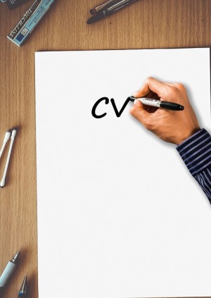 Be cv pro Anuncios gratis en Santiago |  Asesoria y creacion de cv en el mundo, Cv, creacion de cv, creacion cv, crear cv, cv online, crear cv online