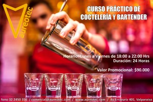 Aureotec Anuncios gratis en Valpara&iacute;so |  Curso pr&aacute;ctico de cocteler&iacute;a y bartender valparaiso , Curso practico de cocteleria y bartender valparaiso