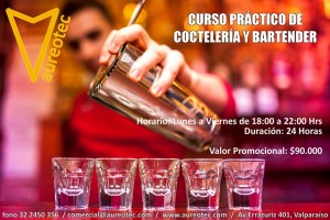 Aureotec Anuncios gratis en Valpara&iacute;so |  Curso pr&aacute;ctico de cocteler&iacute;a y bartender valparaiso, Curso practico de cocteleria y bartender valparaiso