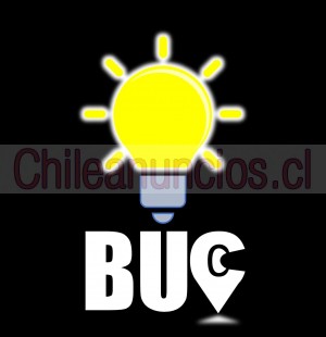 Francisca alejandra  Anuncios gratis en La Serena |  Buc contadores, patentes, contabilidad, pymes , Buc contadores 