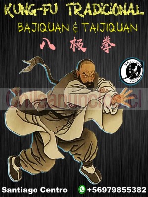 Hugo Anuncios gratis en Santiago |  Clases de artes marciales chinas tradicionales bajiquan, Kungfu, taichi, taijiquan, yoga, pilates, meditacion, reiki