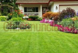Carlos augusto rodri Anuncios gratis en Santiago |  Servicios a parcelas jardinería sistemas de riego etc, Jardineria, cierres perimetrales