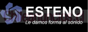 Esteno chile Anuncios gratis en Providencia |  Subtitulado, transcripción y traducción de contenido multimedia, Closed captions, traducciones, subtítulos, doblajes, zoom, youtube