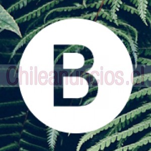 Barellani Anuncios gratis en Santiago |  Barellani – moda de alta calidad y accesorios de lujo, Barellani chile