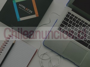 Leonardo Anuncios gratis en Providencia |  Páginas web chile-diseño web en chile-creación web delivery y servicios, Diseño de páginas web en chile