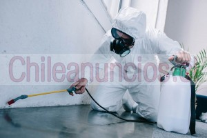Rm fumigaciones Anuncios gratis en Lo Barnechea |  Fumigación de casas y departamentos en lo barnechea, Desinsectación, desratización y control de plagas y sanitización