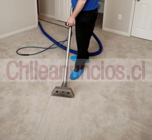 Transito leon Anuncios gratis en Lo Barnechea |  Limpieza alfombras piso flotante aseo limpia sanidad, Limpieza