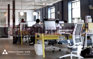 Creaciones web pm Anuncios gratis en Puerto Montt |  Diseño de paginas web en puerto montt y puerto varas 2022, Paginas web puerto montt, puerto varas, alerce, chiloe y alrededores