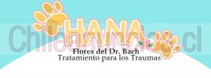 Hana Anuncios gratis en Santiago |  Terapia flores de bach para mascotas - +56 972791441 , Flores de bach para mascotas