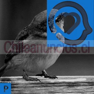Tu psicologo online Anuncios gratis en Santiago |  Tu psicólogo online, salud mental y medicina familiar, Psicologos online para adulto, adulto mayor e infantojuvenil.