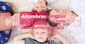 Oscar Anuncios gratis en Santiago |  Alfombras limpias Ñuñoa a domicilio o retiro , Limpieza y lavado de alfombras a domicilio y retiro 