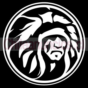 The indian face Anuncios gratis en Santiago |  Las mejores gorras trucker en chile para hombre y mujer, Tienda de gorras trucker y gafas de soll