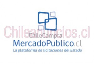 Jose rodriguez Anuncios gratis en Santiago |  Gestión y elaboración de licitaciones en mercado público, Licitaciones públicas y privadas