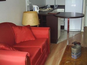  Anuncios gratis en Santiago |  ARRIENDO DEPARTAMENTOS AMOBLADOS.(dia/s,semanas) stgo centro, VER FOTOS EN P&Aacute;GINA WEB.