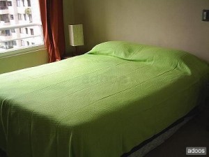  Anuncios gratis en Santiago |  ARRIENDO DEPARTAMENTOS AMOBLADOS(dias,semanas). STGO. CENTRO, Santa Victoria con Portugal�METRO UNIV. CATOLICA