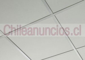 Novo dia Anuncios gratis en Osorno |  Novo dia - palmetas para cielos americanos en osorno, Palmetas, cielos americanos, sur de chile, osorno