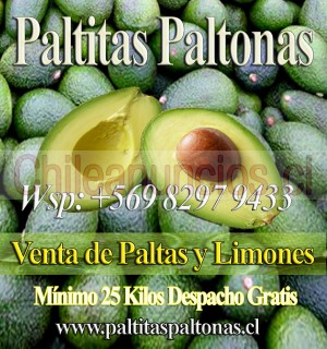Paltitaspaltonas.cl Anuncios gratis en Providencia |  Paltas santiago, venta de paltas y limones santiago, Limones santiago, venta de paltas y limones santiago