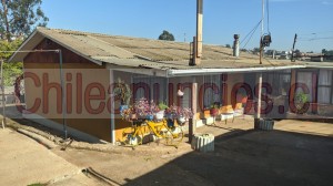 Patricia Anuncios gratis en Vi&ntilde;a del Mar |  Casa en venta viÑa del mar sector reÑaca alto, Se vende hermosa y acogedora vivienda en viña del mar