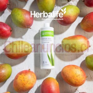 Herbalife distribuid Anuncios gratis en Santiago |  ¿te gusta del herbal aloe sabor mango? 🥭más info aquí, Herbal aloe