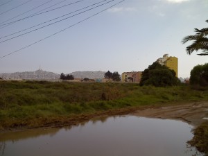 GESTORES DE NEGOCIOS Anuncios gratis en Coquimbo |  PARCELA DE GRAN EXTENSI&Oacute;N GEOGR&Aacute;FICA, ubicado en el sector norte de coquimbo